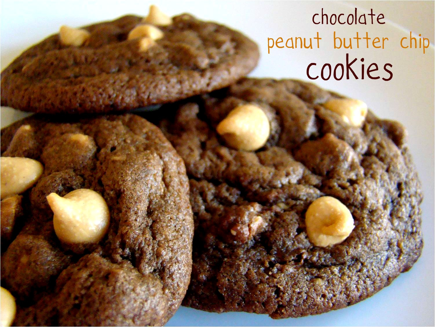 Peanut Butter Chocolate Cookies
 Family Feedbag Chocolate peanut butter chip cookies