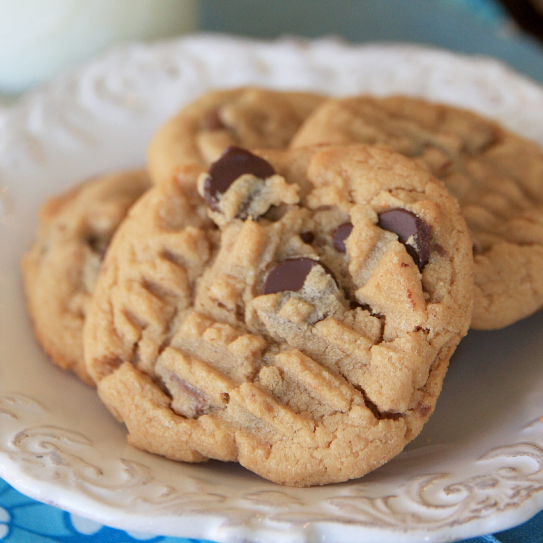 Peanut Butter Chocolate Cookies
 Peanut Butter Chocolate Chunk Cookies