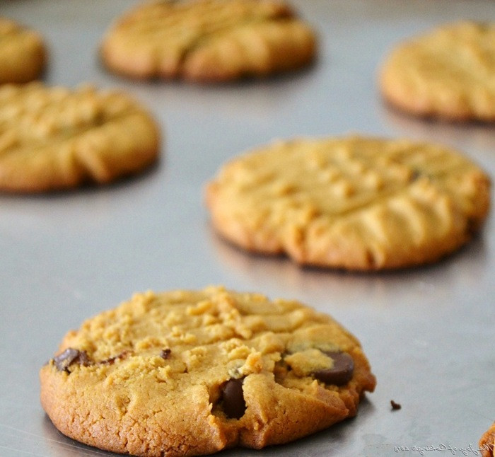 Peanut Butter Cookies No Flour
 Chocolate Peanut Butter Cookies No Flour