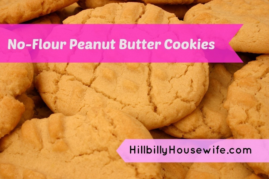 Peanut Butter Cookies No Flour
 Peanut Butter Cookie Recipe Without Flour Hillbilly