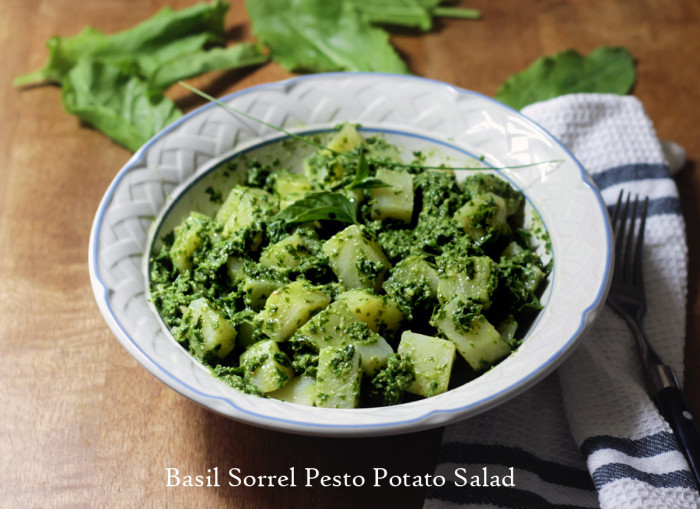 Pesto Potato Salad
 Basil Sorrel Pesto Potato Salad