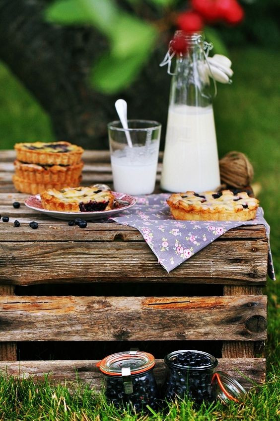 Picnic Desserts For Hot Weather
 coconut tartallets with blueberries cioccolatogatto