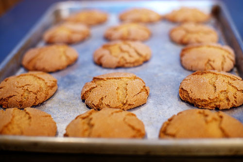 Pioneer Woman Christmas Cookies
 REE 3397 6893