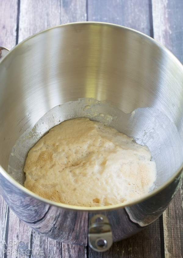 Pizza Dough From Scratch
 How to Make Pizza Dough From Scratch