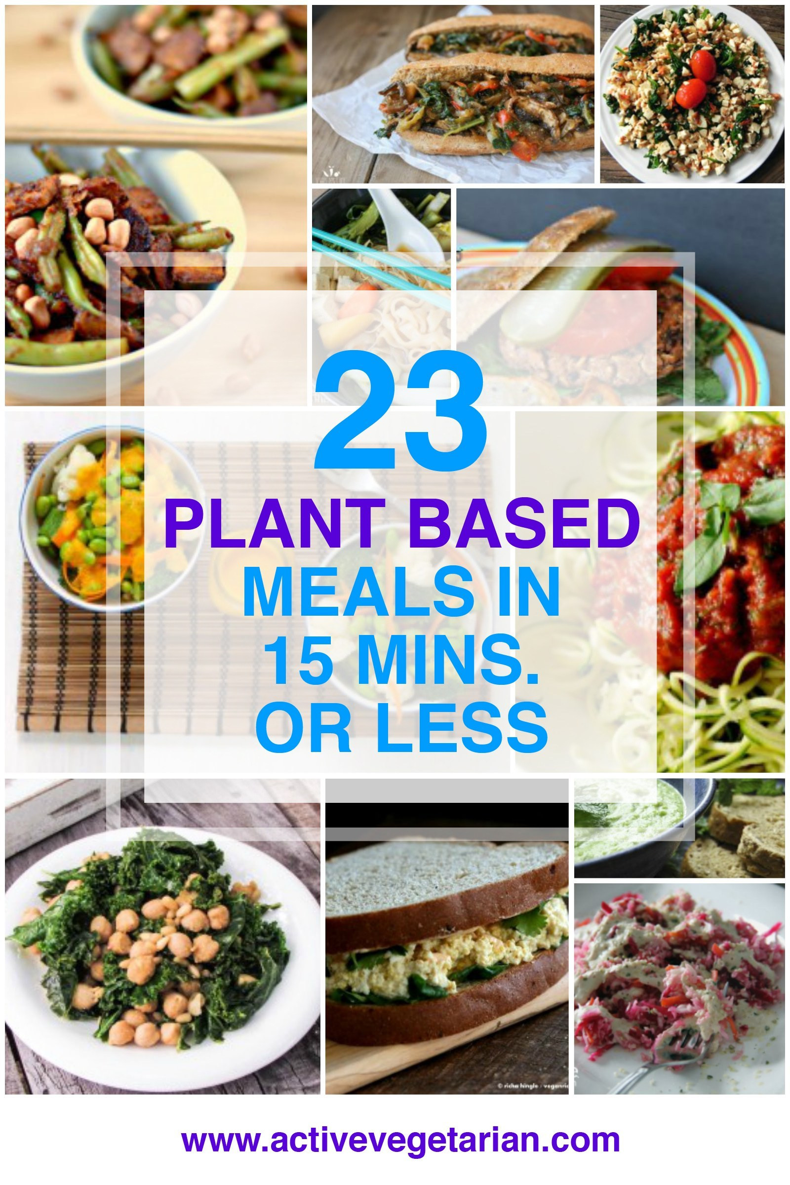 Plant Based Dinner Recipes
 23 Plant Based Meals in 15 Minutes or Less