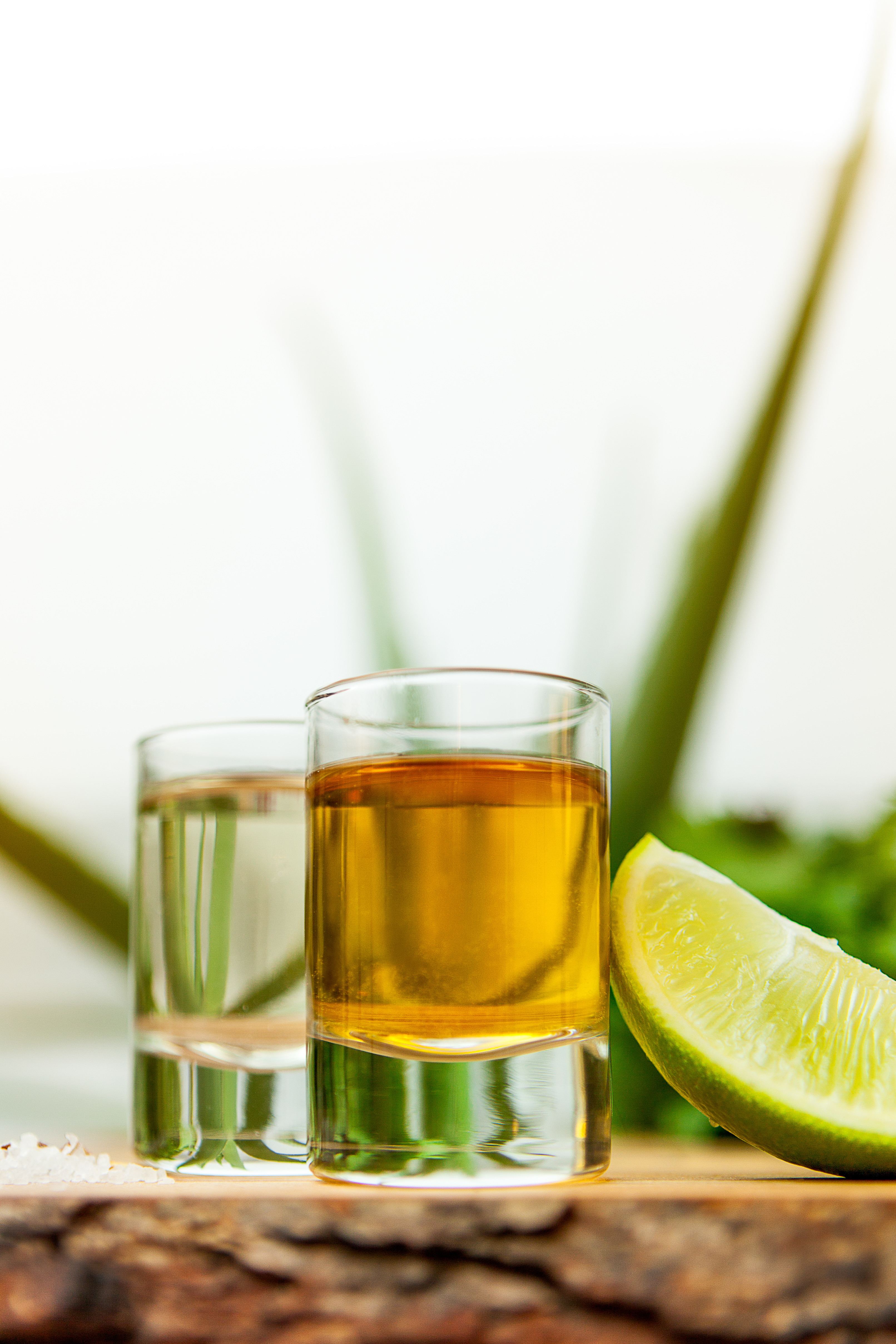 Popular Tequila Drinks
 Get in Formation with the Best Tequila for Shots and