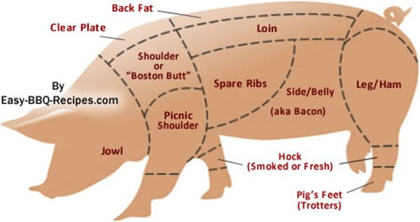 Pork Butt Vs Shoulder
 • View topic what cut for sausage