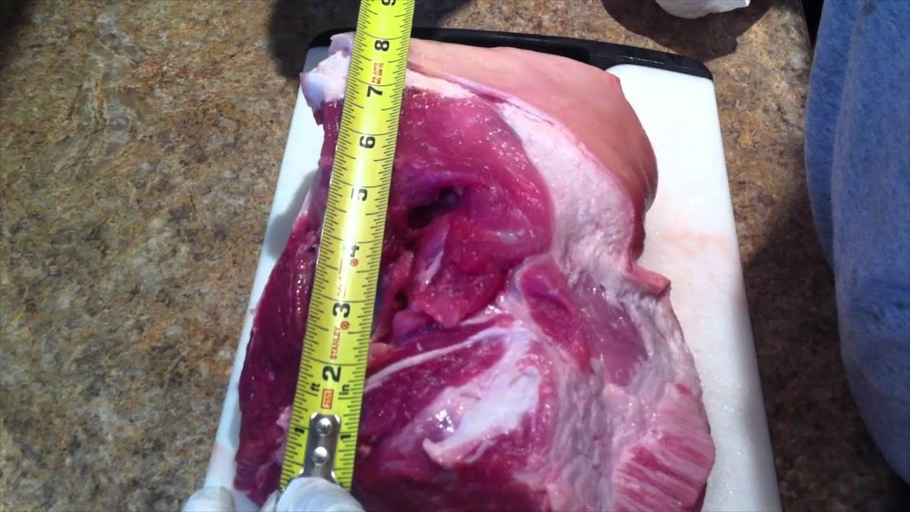 Pork Butt Vs Shoulder
 5 7x28mm SS198LF VS Pork Shoulder