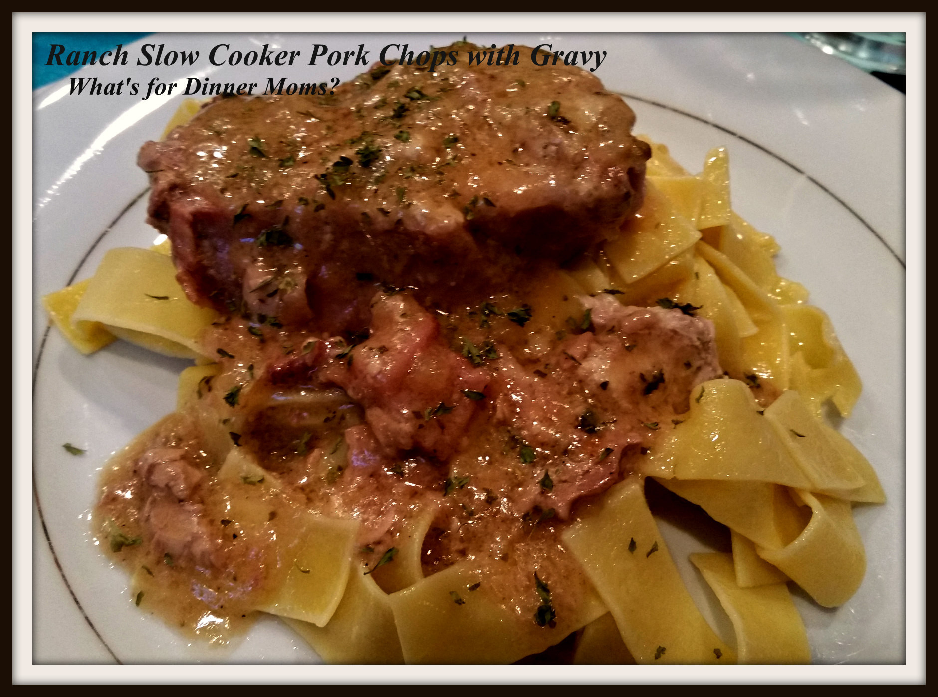 Pork Chop Gravy
 pork chops and brown gravy in slow cooker