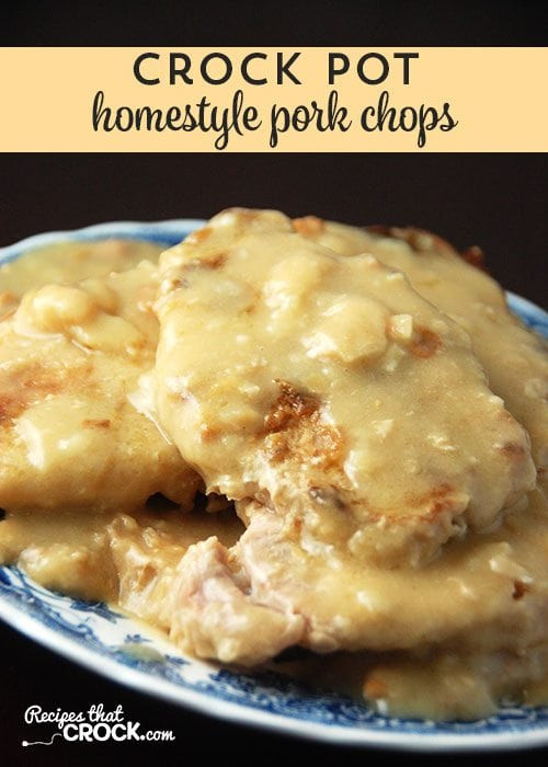 Pork Chops Recipes In Crock Pot
 Homestyle Crock Pot Pork Chops Recipes That Crock