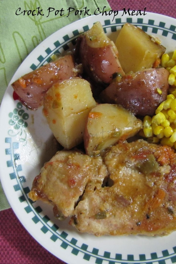 Pork Chops Recipes In Crock Pot
 crock pot pork chop