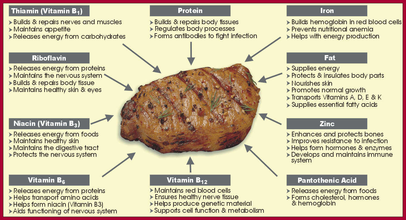 Pork Loin Nutrition
 Pork Nutrition Contains Essential Nutrients
