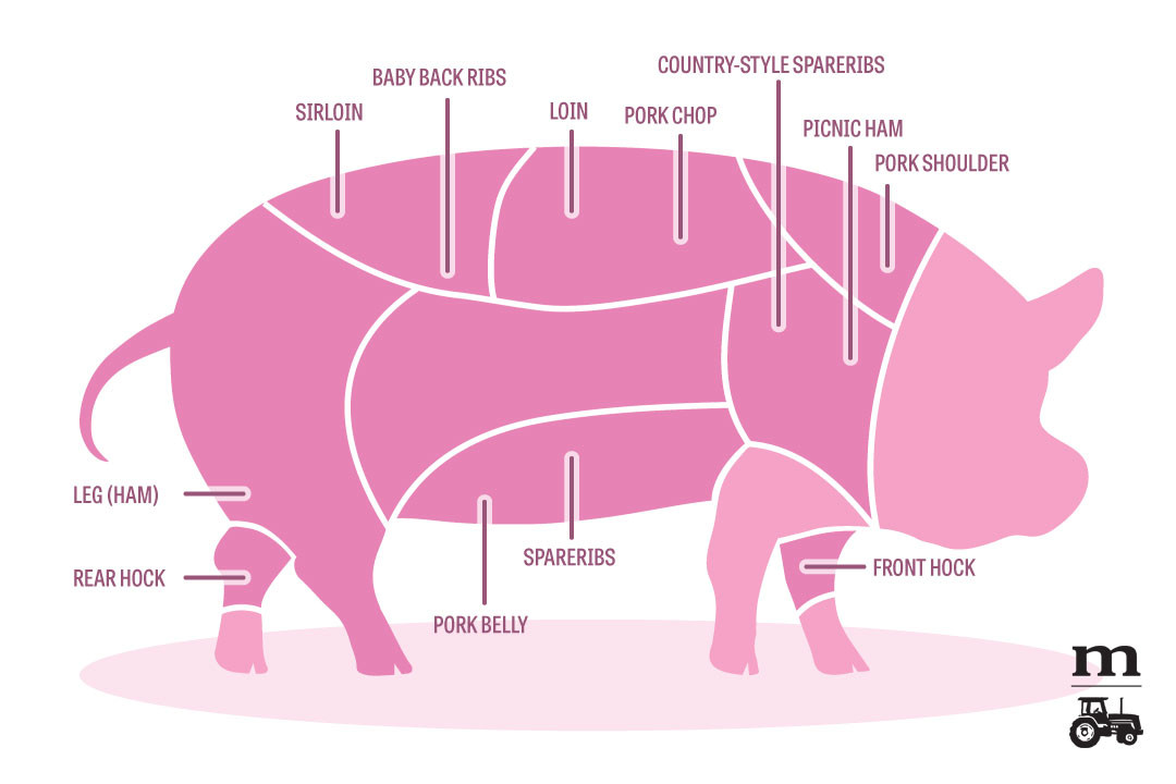 Pork Shoulder Vs Pork Butt
 Pork Cuts 101 A Diagram Modern Farmer