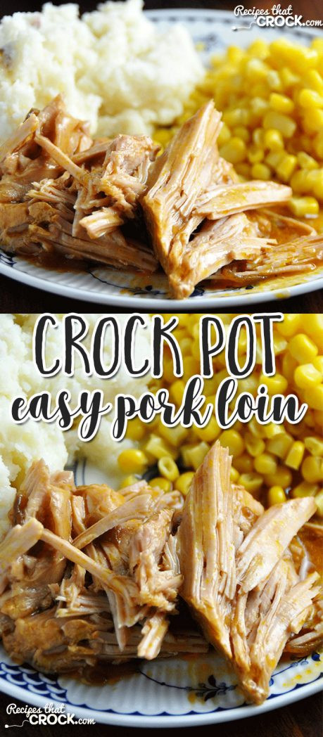 Pork Tenderloin Crock Pot Recipes
 Easy Crock Pot Pork Loin Recipes That Crock