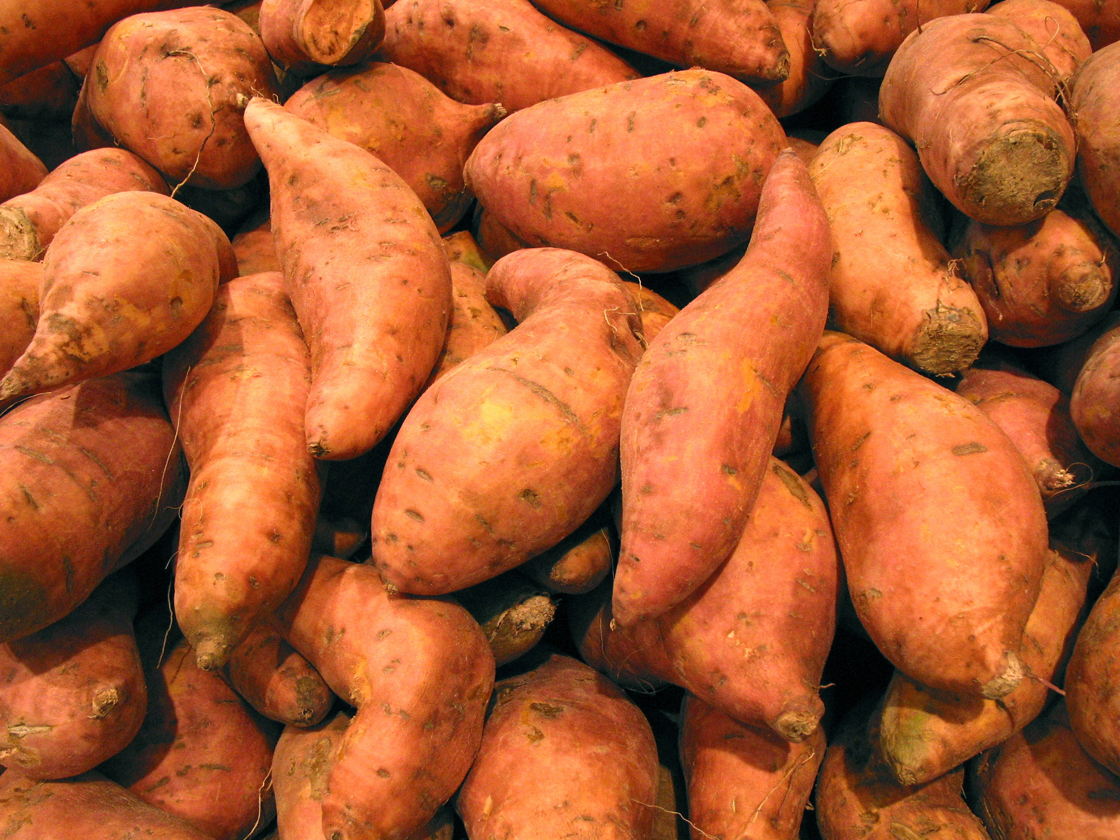 Potato A Vegetable
 Sweet Potato FREE Stock Image Picture Sweet