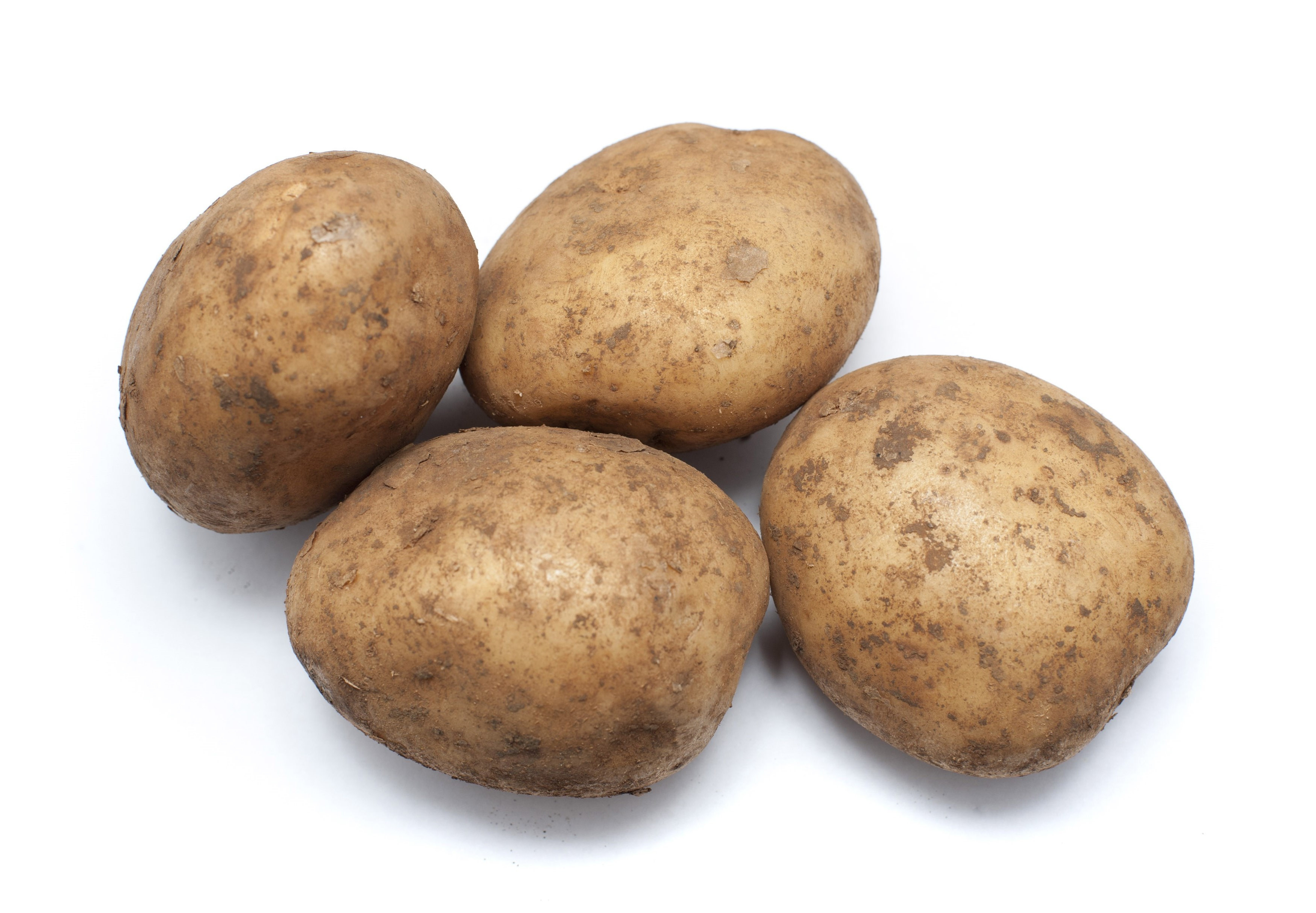 Potato A Vegetable
 Fresh uncleaned potatoes Free Stock Image