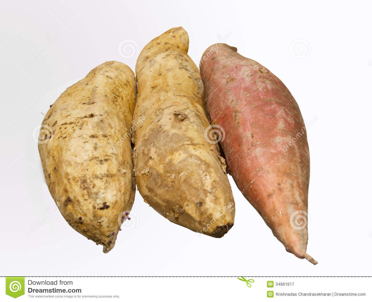 Potato A Vegetable
 Sweet Potato Royalty Free Stock graphy Image