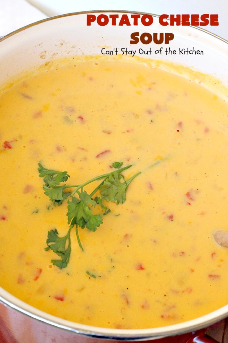 Potato And Cheese Soup
 potato cheese soup