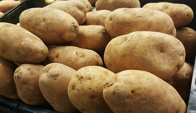 Potato Carbohydrate Amount
 Classic Potatoes Au Gratin