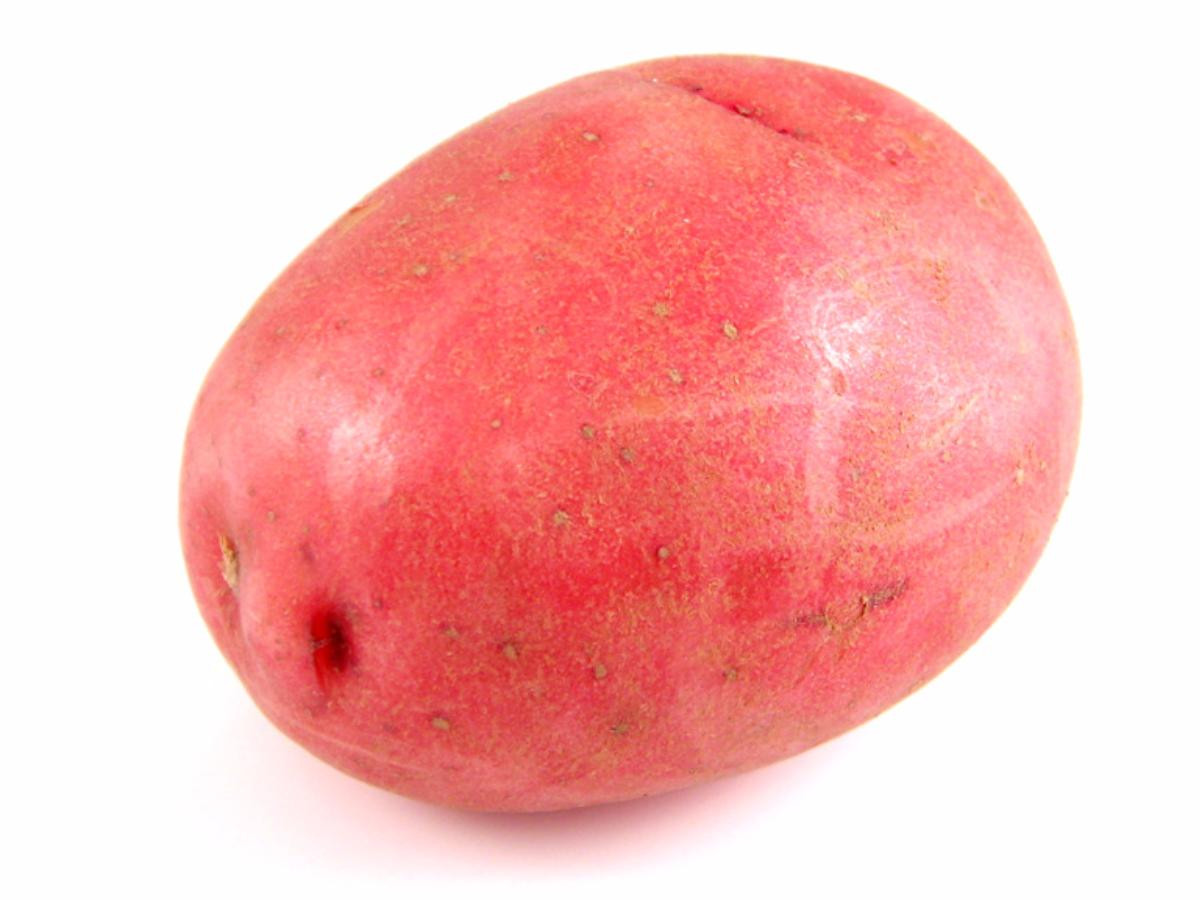 Potato Carbohydrate Amount
 Red potatoes Nutrition Information Eat This Much