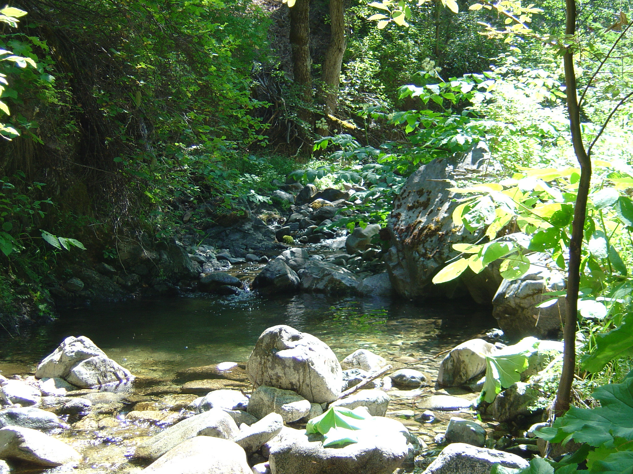 Potato Creek Cabins
 80 acres on Potato Creek Hayfork CA California