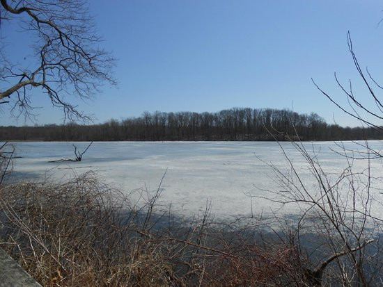 Potato Creek Cabins
 Lake Worster Frozen Picture of Potato Creek State Park