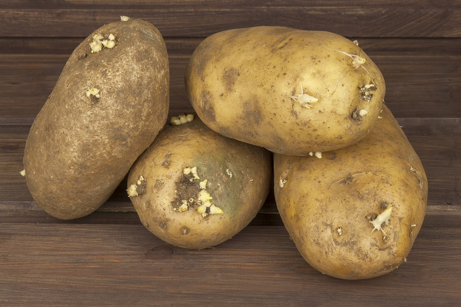 Potato Diet Rules
 The Potato Cleanse Rules is It a Healthy Diet to Jump