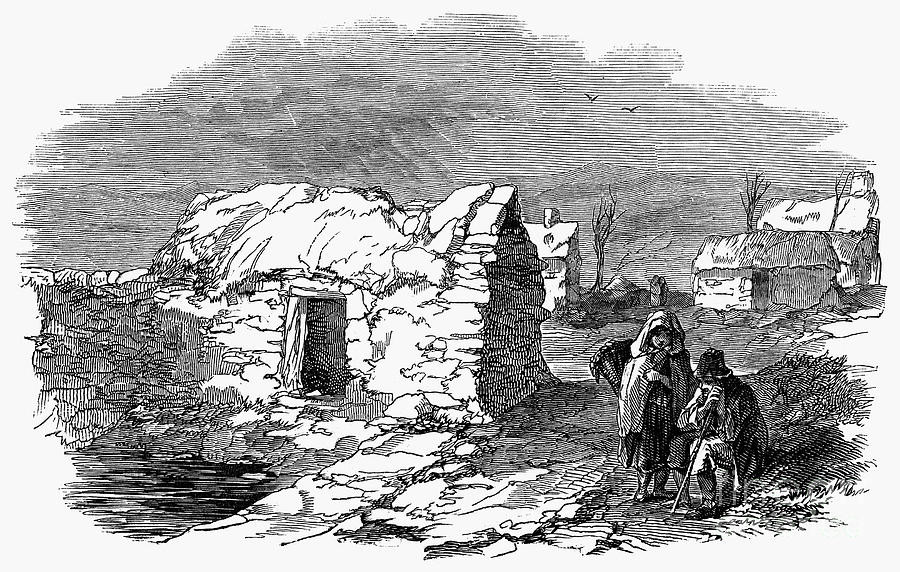 Potato Famine Ireland
 THE VIRTUAL VICTORIAN THE VICTORIAN ORIGINS OF THE IRISH