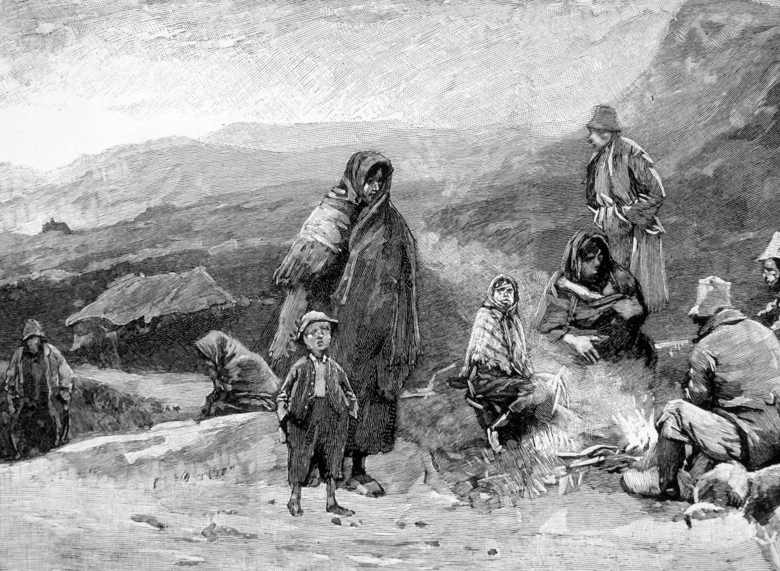 Potato Famine Ireland
 Study Provides Evidence on Movement of Potato Famine Pathogen