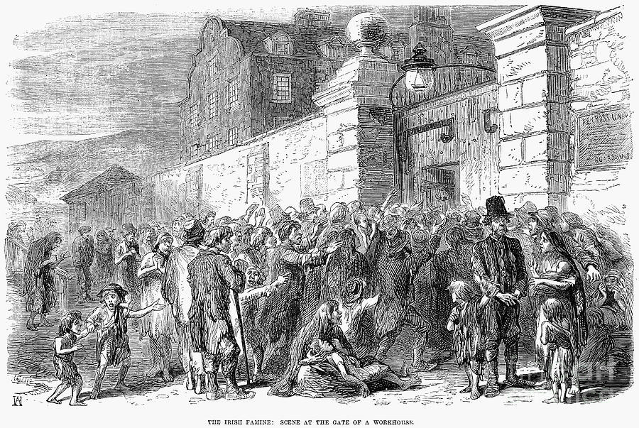 Potato Famine Years
 Irish Potato Famine 1846 7 by Granger