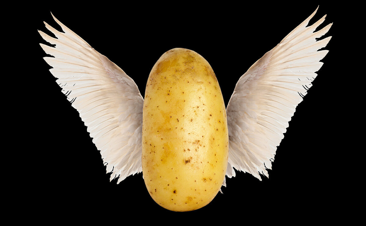 Potato Flew Around My Room
 A Potato Flies Around the Room Modern Farmer