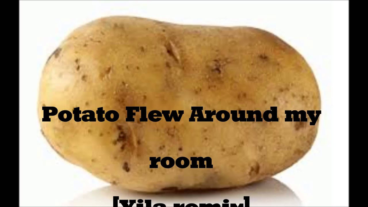Potato Flew Around My Room
 [Brutal Dubstep] A potato flew around my room [Xila remix