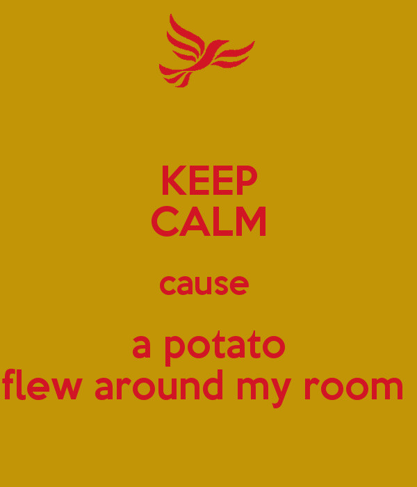 Potato Flew Around My Room
 KEEP CALM cause a potato flew around my room Poster