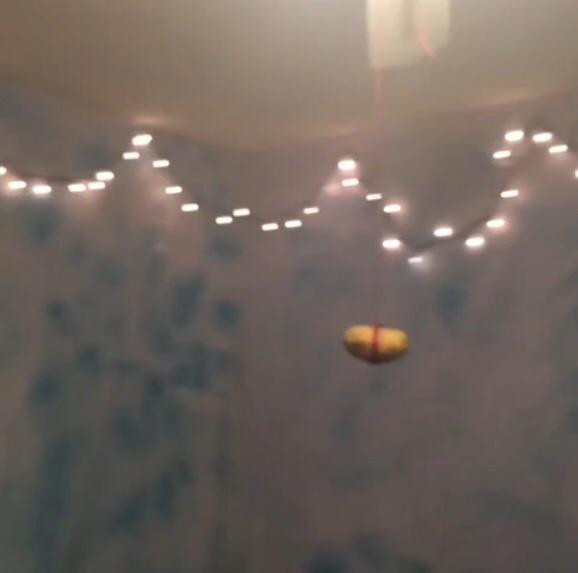 Potato Flew Around My Room
 a potato flew around myroombeforeu