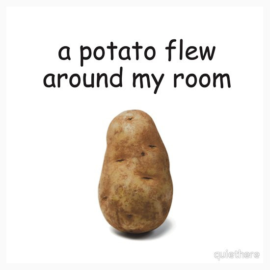 Potato Flew Around My Room
 A Potato Flew Around My Room Stickers