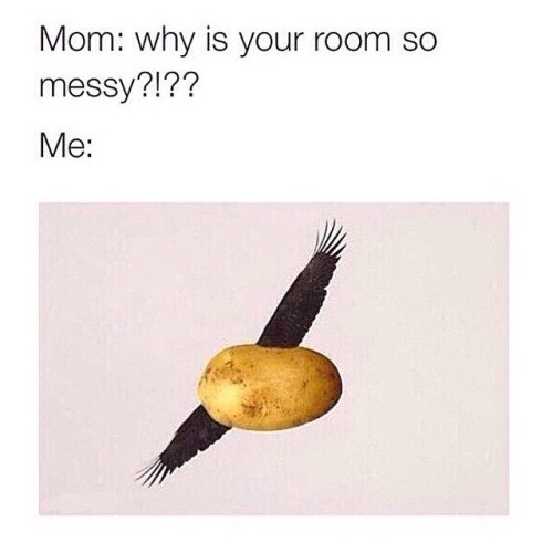 Potato Flew Around My Room
 a potato flew around my room before you came