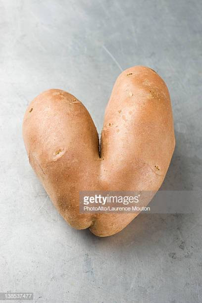 Potato For A Heart
 Conjoined Twin Stock s and