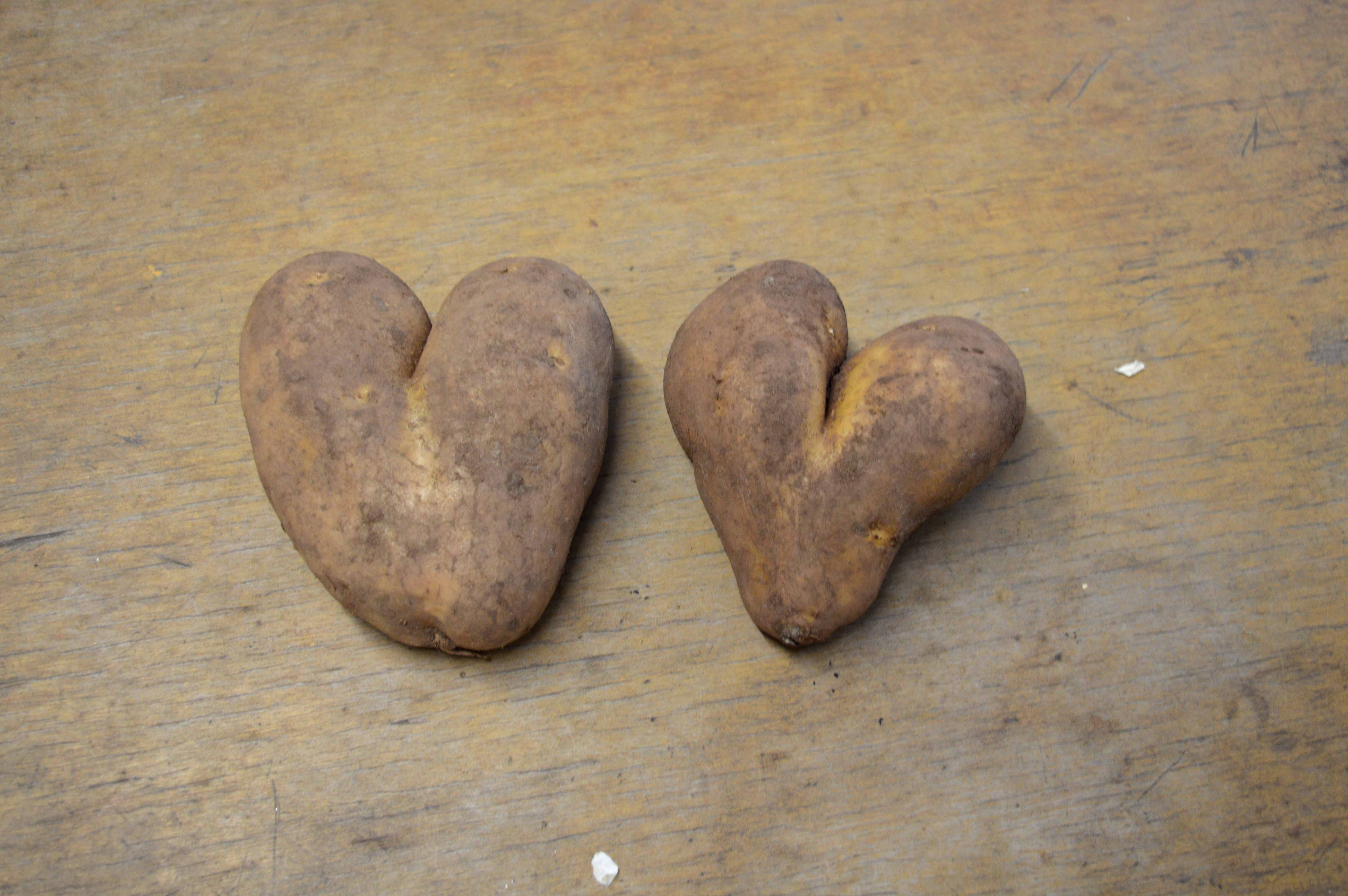 Potato For A Heart
 Happy Valentine s Day Biodegradable Petal Confetti