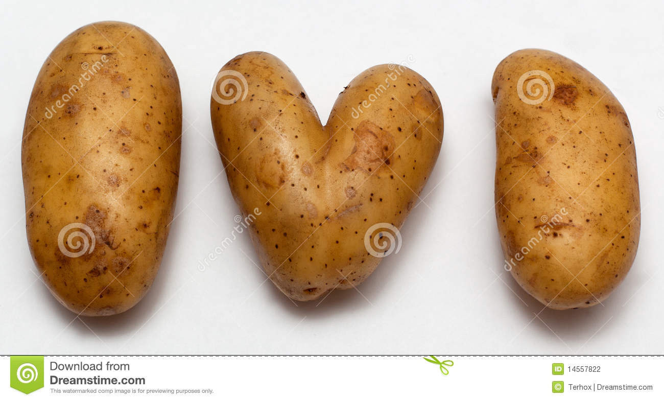 Potato For A Heart
 Heart shaped potatoe stock photo Image of potato washed