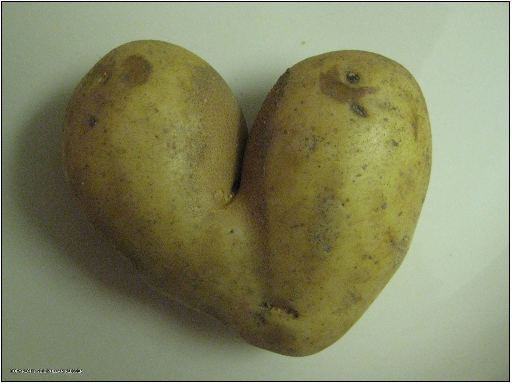 Potato For A Heart
 Happy Valentine s Day Phelan Riessen