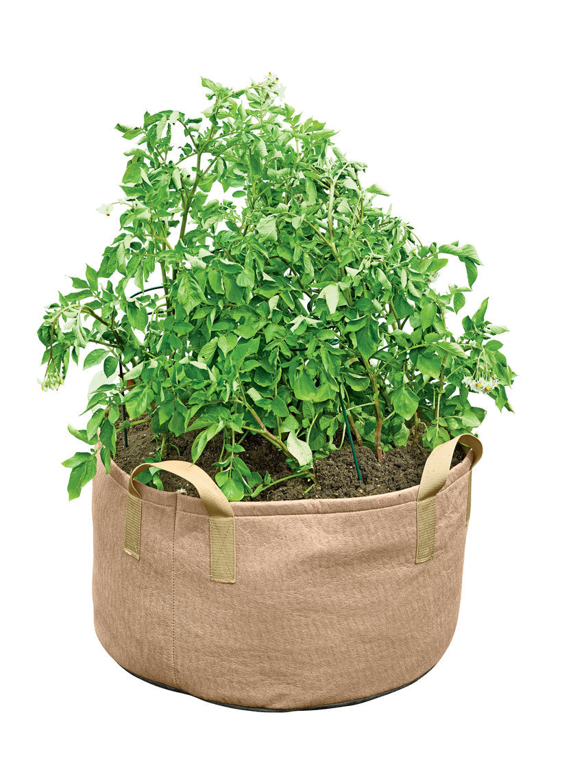 Potato Grow Bags
 Gardener s Best JUMBO Potato Grow Bag Holds 120 Quarts