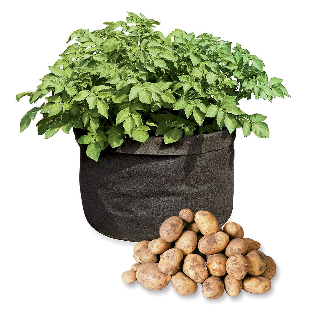 Potato Grow Bags
 Grow Bags Tomatoes Peppers Herbs and Potatoes The