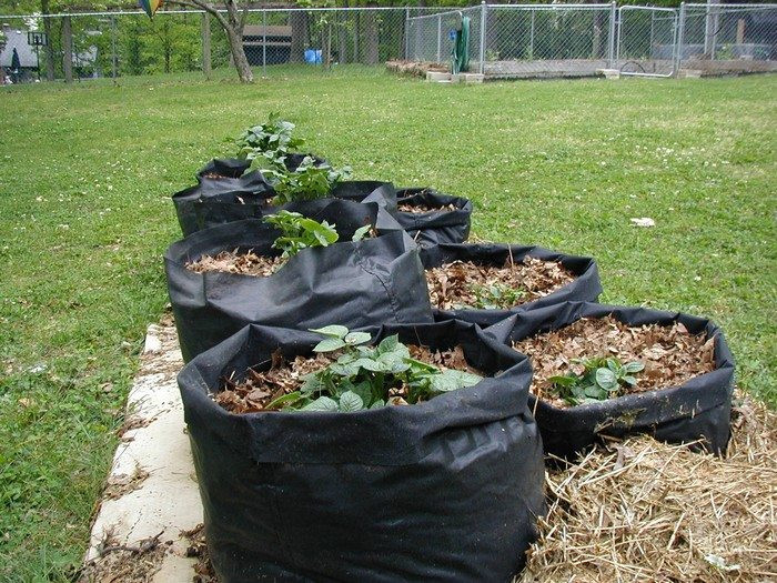 Potato Grow Bags
 Make your own potato grow bags