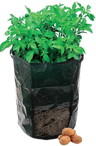 Potato Grow Bags
 Yuhwa Green Potato Planter Gardeners Waterproof Grow Bags