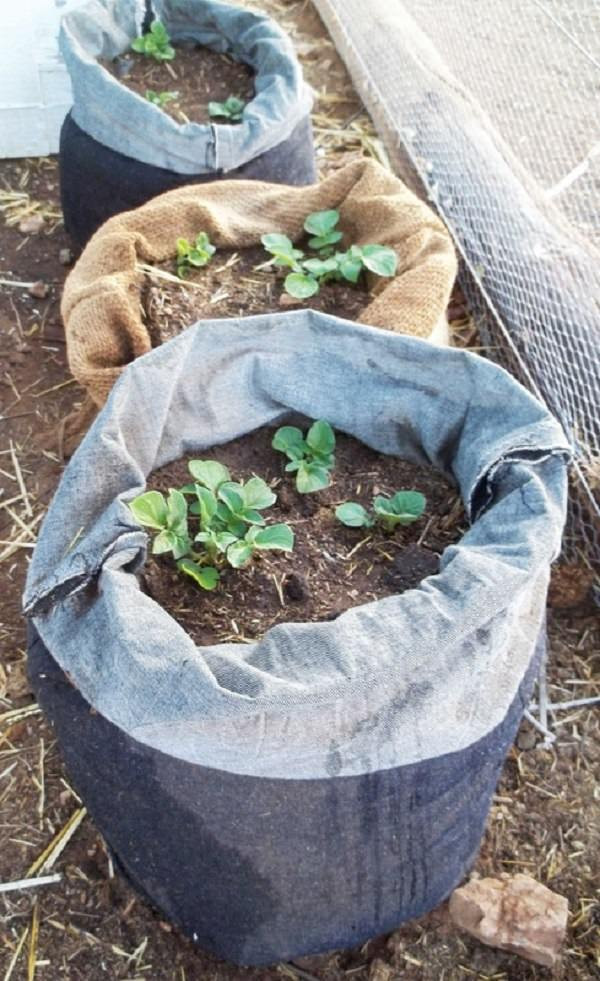 Potato Grow Bags
 Diy Grow Bags For Plants Style Guru Fashion Glitz