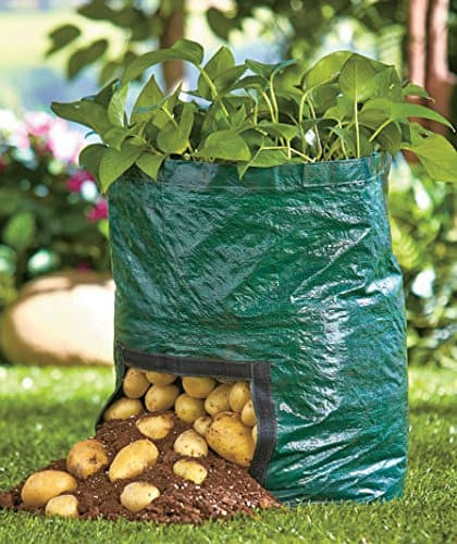 Potato Grow Bags
 Grow Potatoes In A Barrel Youtube Video Tutorial DIY