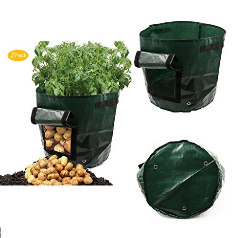 Potato Grow Bags
 GPDSTAR 2 pack Garden Potato Grow Bag Ve ables Planter