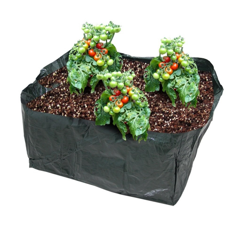 Potato Grow Bags
 Popular Growing Potatoes Buy Cheap Growing Potatoes lots