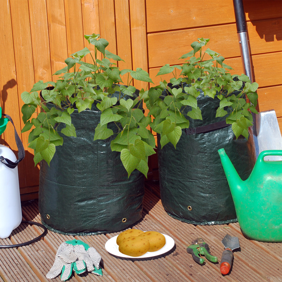 Potato Grow Bags
 Potato Grow Bag Grow Bags