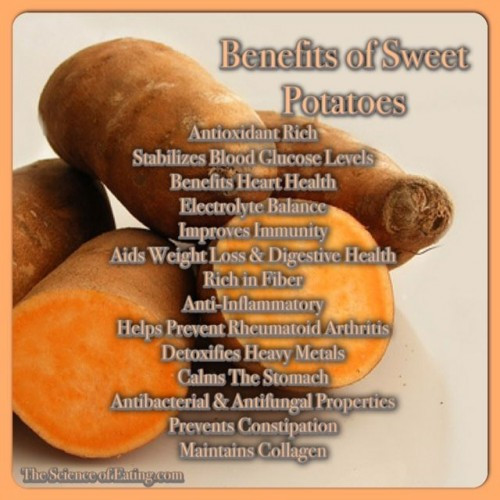 Potato Health Benefits
 Benefits Sweet Potatoes